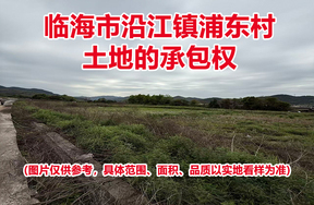 临海市沿江镇浦东村土地的承包权